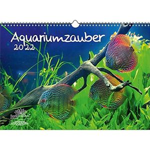 Aquariummagie kalender DIN A3 voor dieren 2022 aquarium en onderwaterwereld