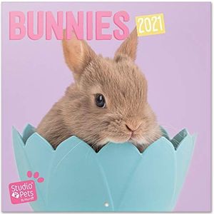 Grupo Erik Officiële Studio CP21059 wandkalender 2021 Pets Bunny 30 x 30 cm (16 maanden)