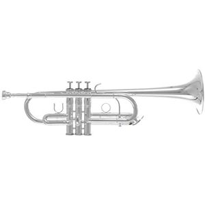 Roy Benson TR-402CS trompet met 1 set sib rails zilver