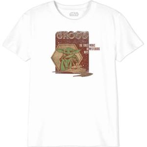 Star Wars Boswmants075 T-shirt voor jongens (1 stuk), Wit.