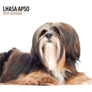 Lhassa Apso Moderne kalender 2025