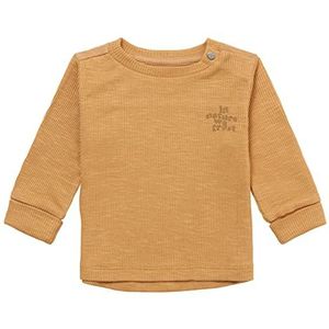 Noppies Baby Meggett T-shirt met lange mouwen voor jongens, Apple Cinnamon P005, 68, Apple Cinnamon P005