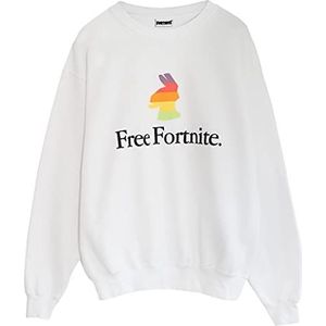 Fortnite Free Rainbow Lama wit boyfriend fit sweatshirt, Wit
