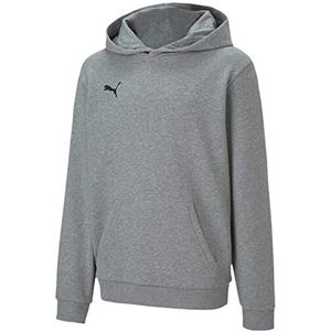 PUMA Unisex kinderen, TeamGOAL 23 Casual Hoodie, Jr Hoodie, grijs (Medium Grey Heather), 128