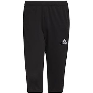 adidas PNT Ent22 3/4 broek voor heren