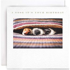 Susan O'Hanlon B200 Verjaardagskaart hond neus I Nose It's Your Birthday
