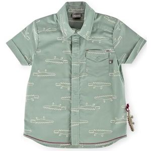 Sigikid Batiste lichtgewicht T-shirt met lange mouwen voor jongens van biologisch katoen, Mint groen