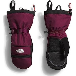 THE NORTH FACE Montana Boysenberry Gants Taille XS