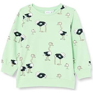 NAME IT Nmmfrilo Sweat UNB Sweat-shirt Enfants Bébés, Multicolore - vert/cendre (green ash), 86