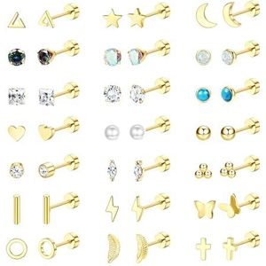 Diamday 21 paar oorbellen met platte achterkant van chirurgisch roestvrij staal, hypoallergeen, voor helix, kraakbeen, kleine schroefoorbellen, Roestvrij staal