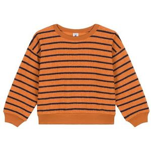 Petit Bateau A08pk Sweatshirt voor meisjes (1 stuk), eekhoorn bruin / smoking blauw