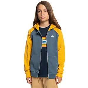 Quiksilver Easy Day Zip Youth Sweater jongens (1 stuk)