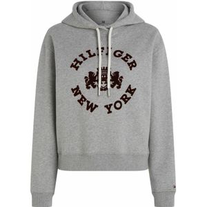 Tommy Hilfiger REG VARSITY FLOCK HOODIE uni S