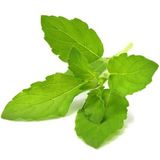 Click & Grow Click and Grow Smart Garden Refill 3-pack - Holy Basil