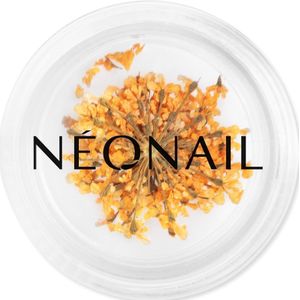 NEONAIL - Dried Flowers 03 - Nagelversiering - Oranje - Gedroogde Bloemen