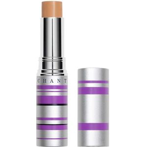 Chantecaille Real Skin+ Eye and Face Stick Concealer 4 g