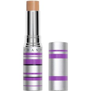 Chantecaille Real Skin+ Eye and Face Stick Concealer 4 g