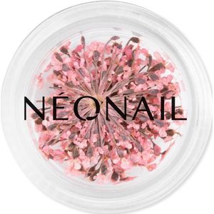 NEONAIL Dried Flowers 01 - Pink - Nagelstyling - Gedroogde Bloemetjes