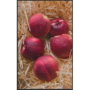 Fussmatte Apfel 7577