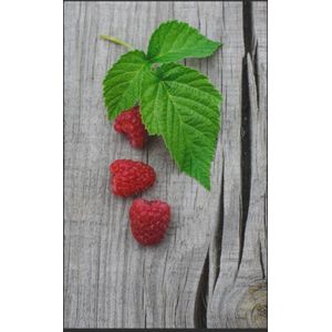 Fussmatte Himbeere 7222