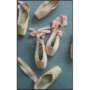 Fussmatte Ballett 7207