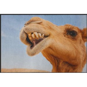 Fussmatte Kamel 6328