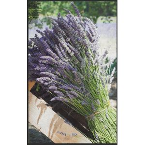 Fussmatte Lavendel 7597