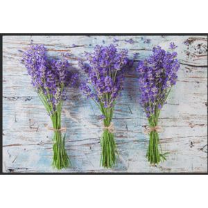 Fussmatte Lavendel 4641