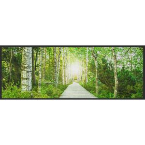 Läufer Waldweg 10270
