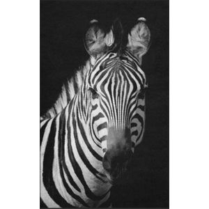Fussmatte Zebra 7769
