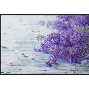 Fussmatte Lavendel 4611