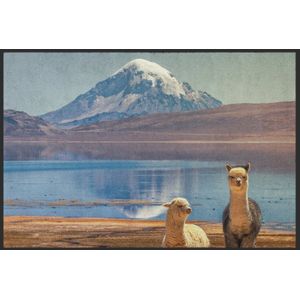 Fussmatte Alpaca 10331