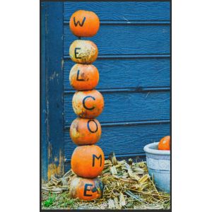 Fussmatte Welcome Kürbis 7020