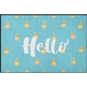 Fussmatte Hello 4046