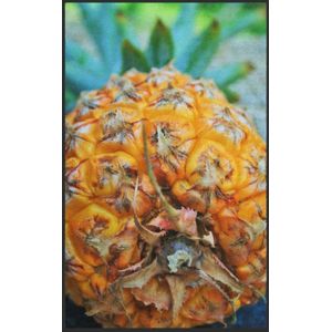 Fussmatte Ananas 7591