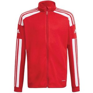 Adidas - Squadra 21 - Presentatiejas - Polyester