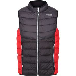 Regatta - Harrock II - Gilet - Groen - Gewatteerd