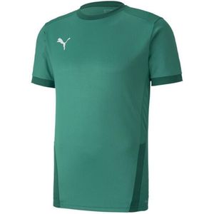 Puma - Teamgoal 23 - Jersey - Ademend - Korte Mouwen