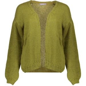 Geisha - Cardigan Basic 54606-70 - Moss - Vest