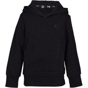 Dutch Dream Denim Jongens tech hoodie mkulima