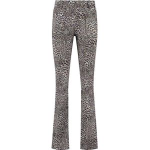 Helena Hart 7412fea broek flair feather