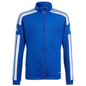 Adidas - Squadra 21 - Trainingsjack - Primegroen - Kinderen