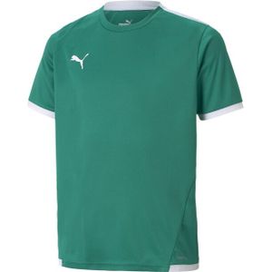 Puma - Teamliga-trui - Kinderen - Zwart - 100% Gerecycleerd Polyester