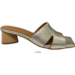 AVDB Damesschoenen slippers