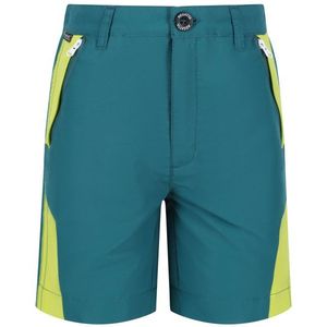 Regatta - Sorcer II - Bergshorts - 100% Polyester - Kinderen