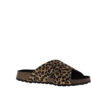 Cypres Slipper 109038