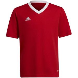 Adidas - Entrada 22 - Trainings Jersey - 100% Gerecycled Polyester