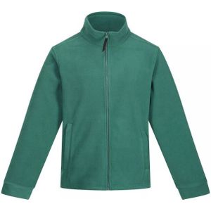 Regatta - Heren Klassiek Vlies - Fleece - 250gsm - Met Lange Mouwen - Zwart