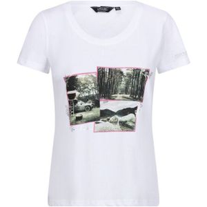 Regatta - T-shirt - Groen - Katoen - Ademend