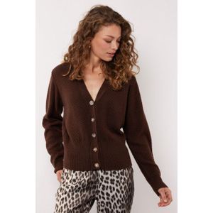 G-Maxx - Dolores - Gebreid Vest - Bruin